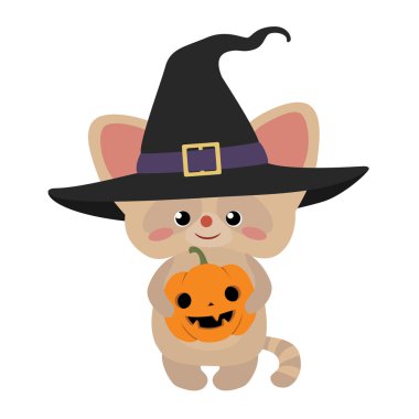 Kabak ile sevimli kedicik