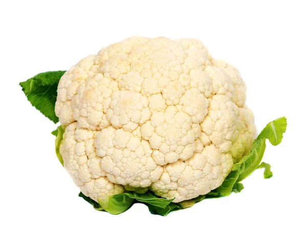 Cauliflower on white background — Stock Photo, Image