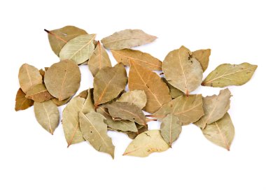 Organik defne yaprağı