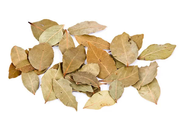 Organik defne yaprağı