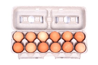 Bir kutu içinde düzine organik yumurta