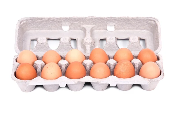 Tientallen biologische eieren in een doos — Stockfoto