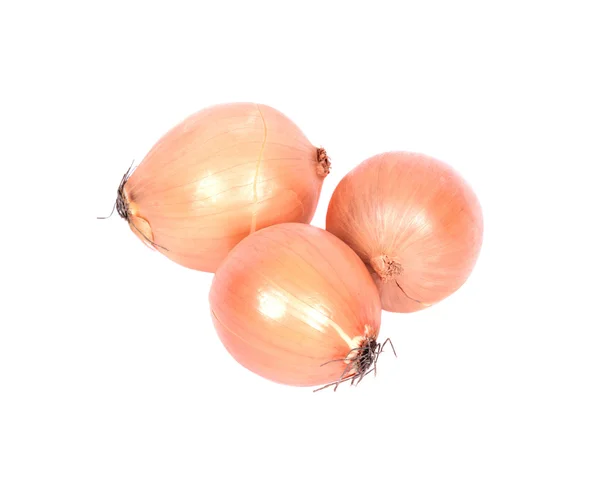 Świeżej cebuli ekologicznej — Zdjęcie stockowe