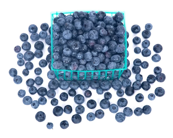 Fresh organic blueberry — Stock Photo, Image