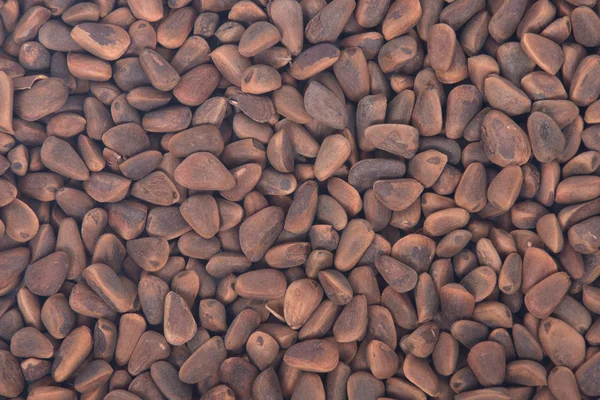 Сырые органические кедровые орехи в раковинах — стоковое фото