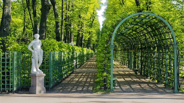 Аллеи Летнего Сада Скульптурами Парки Санкт Петербурга — стоковое фото