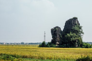 Tek rock uçurumun dağ alanında