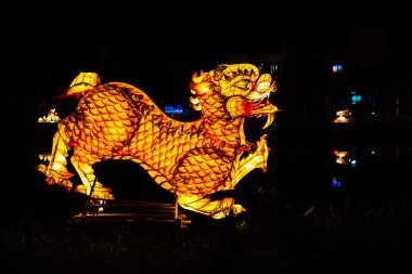Işıklar arka planda parlayan Dragon