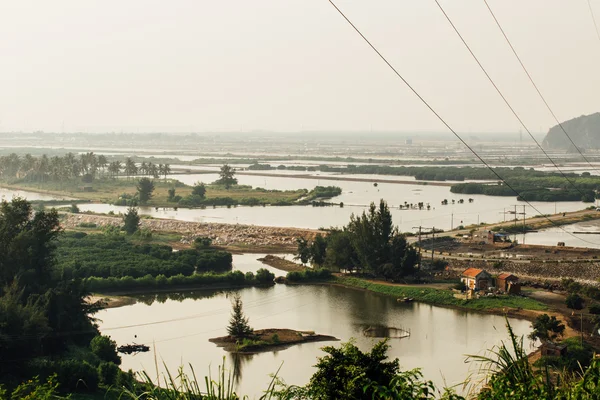 Затопленные рисовые поля — стоковое фото