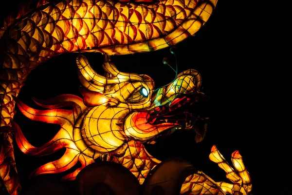 Glowing Dragon in the background of lights — Stock Photo, Image