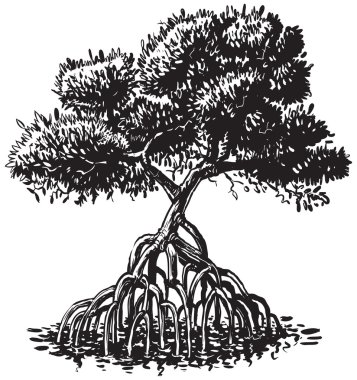 Mangrove Tree Ink Style Vector Cartoon Illustration clipart