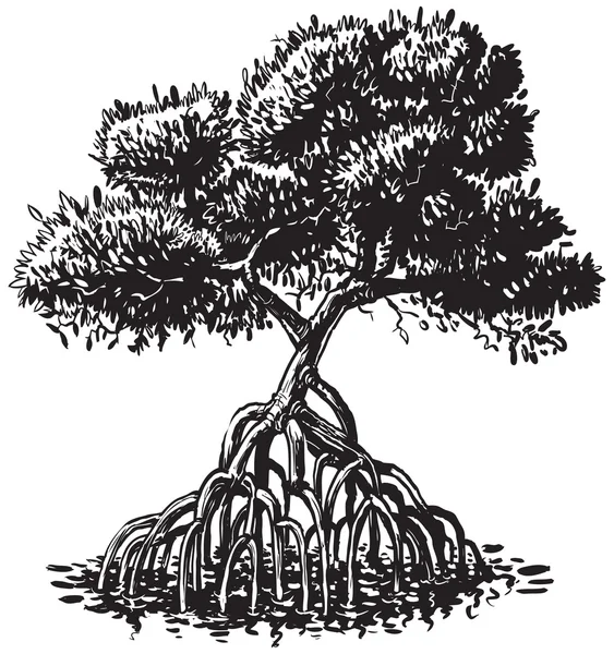 Illustration de dessin animé vectoriel de style encre d'arbre de mangrove — Image vectorielle