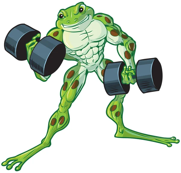 Muscular Cartoon Frog Curling Dumbbells — Stock Vector