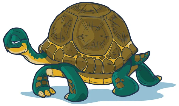 Cartoon Tortue Marche — Image vectorielle