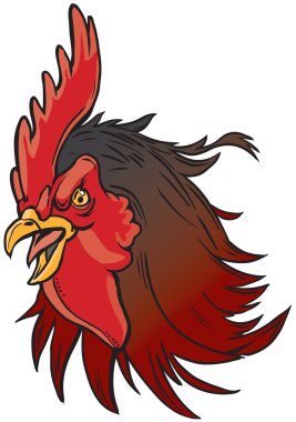 Kızgın Gerçekçi Horoz Maskot Baş İllüstrasyon