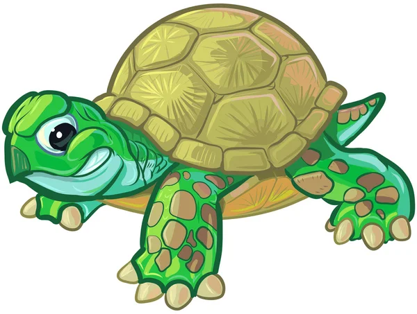 Lindo duro dibujos animados bebé tortuga o tortuga — Archivo Imágenes Vectoriales