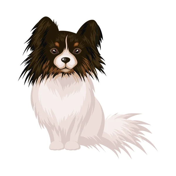 Der Hundepapillon — Stockvektor