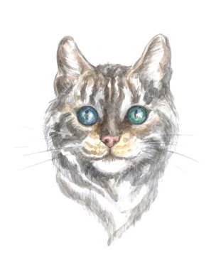 gümüş tabby bengal kedisi