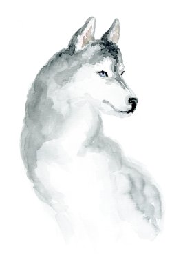 siberian dış yapraklar