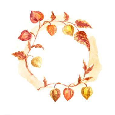 physalis dallarında