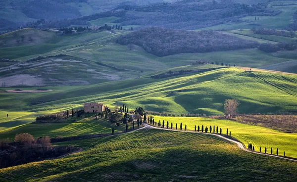 Início da primavera na Toscana, Itália — Fotografia de Stock