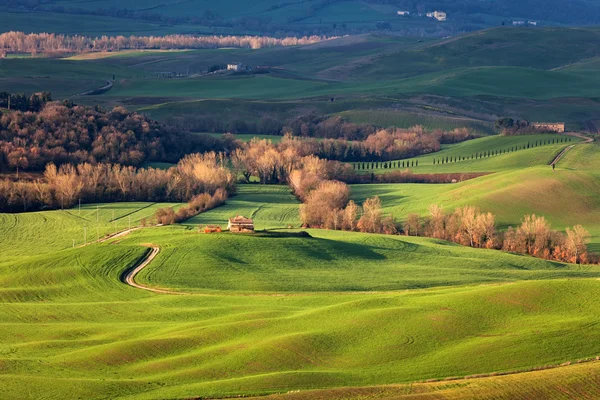 Início da primavera na Toscana, Itália — Fotografia de Stock