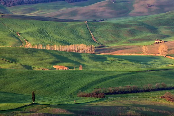 Erken ilkbaharda Toskana, İtalya