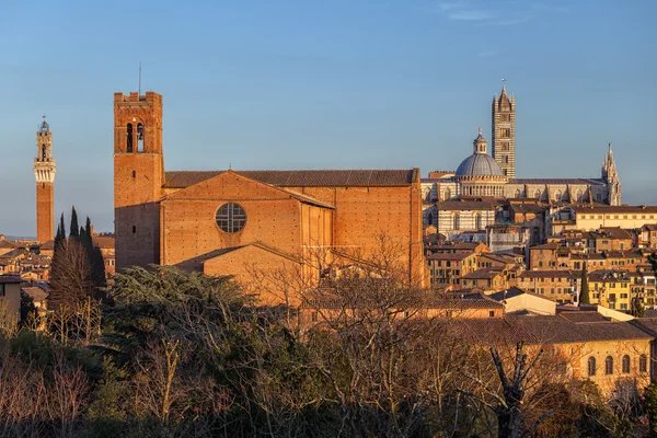 Panorama siena, Toskana, İtalya — Stok fotoğraf