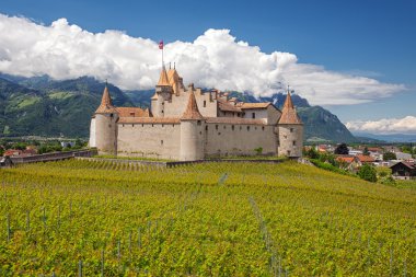 Chateau d'aigle, İsviçre地中海サラダ、大きな黒オリーブ、羊のチーズ
