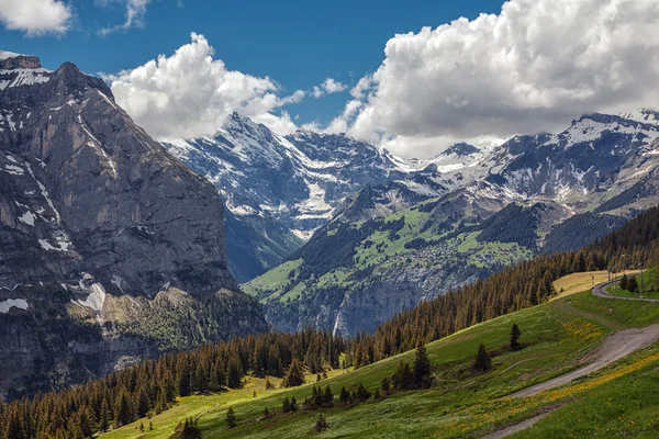 Yeşil alanlar ve arka plan, Lauterbrunnen, İsviçre, Avrupa'nın yüksek kayalıklarla ünlü çarpıcı turistik beldesi