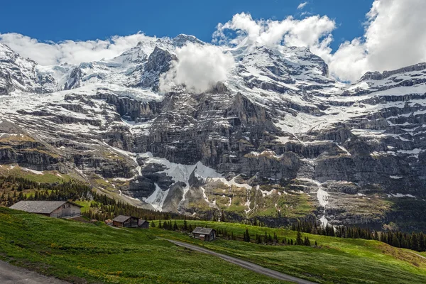 Green fields and famous stunning touristic town with high cliffs in background, Lauterbrunnen, Switzerland, Europe — стоковое фото