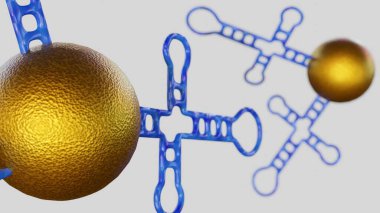 A 3d image illustration of a nanogold conjugated aptamer (Apt-AuNP), acts as a targeted nanobioprobe or nanomedicine agent for Biosensing and Diagnostics, and Targeted Drug Delivery