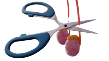 A 3d medical illustration image of a vasectomy. It shows of scissors cutting off the vas deferens tubes (the thin orange-red tubes that carry sperm).