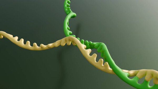 A 3d image depicts RNA recombination, showing two genetic strands (green and yellow) breaking and joining to form a new combined sequence.