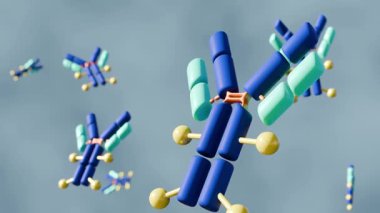 A 3D animation of multiple Y-shaped antibody molecules, foating around in the background, illustrating antibody-drug conjugates (ADCs).