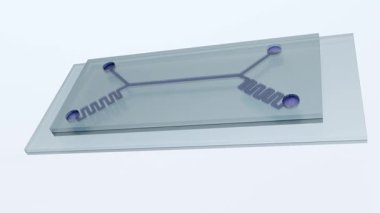 Mikro akışkan çipin ya da 