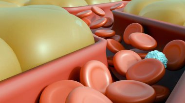 Bir kan damarının iç kısmının kesitinde gösterilen 3 boyutlu bir tasviri. Dolaşım sisteminin yakın görüntüsü..