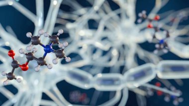 Asetilkolin molekülüne odaklanan, yakın plan, kavramsal görselleştirmenin, biçimlendirilmiş bir nöron veya sinir hücresi ile etkileşime giren 3 boyutlu bir canlandırması..