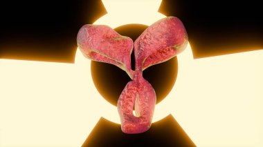 Radyoaktif bir maddeye bağlı antikorların 3 boyutlu moleküler çizimi. Bu, hedef terapi veya görüntüleme için kullanılan bir radyoimmün eşleniği temsil eder..