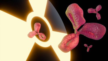 Radyoaktif bir maddeye bağlı antikorların 3 boyutlu moleküler çizimi. Bu, hedef terapi veya görüntüleme için kullanılan bir radyoimmün eşleniği temsil eder..