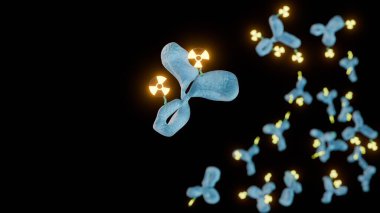 Radyoimmün eşleniğin 3 boyutlu görüntüsü. Hedef hücrelere iletilmek üzere bir şelatör aracılığıyla radyoaktif izotop veya radyoaktif izotopa bağlı monoklonal antikorları hedef alır..