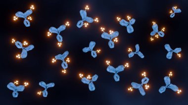 Radyoimmün eşleniğin 3 boyutlu görüntüsü. Hedef hücrelere iletilmek üzere bir şelatör aracılığıyla radyoaktif izotop veya radyoaktif izotopa bağlı monoklonal antikorları hedef alır..
