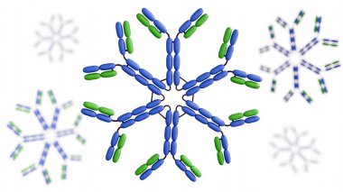 IgM altıgeninin detaylı bir üç boyutlu diyagramı, B hücreleri tarafından salgılanan ve erken bağışıklık tepkisi için kritik bir antikor formu..