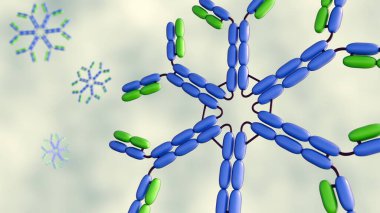 IgM altıgeninin detaylı bir üç boyutlu diyagramı, B hücreleri tarafından salgılanan ve erken bağışıklık tepkisi için kritik bir antikor formu..