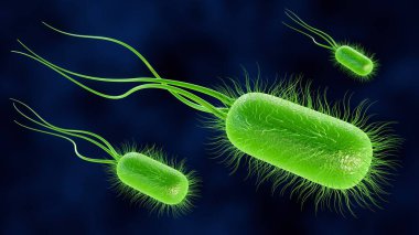 Işıklı bakterilerin 3 boyutlu çizimi, parlayan yeşil, doğrudan doğada bulunan ışık üreten hücreleri temsil eden doğal biyolüminesans ile bağlantılıdır..