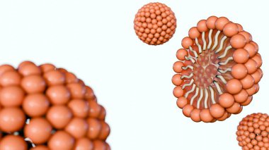 Amphifilik moleküllerin oluşturduğu küresel bir yapı olan micelle 'in üç boyutlu görüntüsü. Bu moleküllerin bir sıvının içine konulduğunda nasıl organize olduklarını gösteriyor.