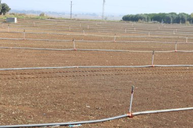 Kuru Alandaki Tarım Sulama Sistemi