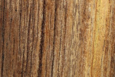 Güneş Gibi Boyalı Tahta Tanenin Makro Dokuları