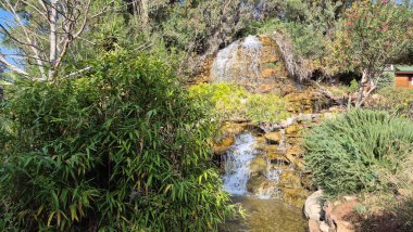 Lush Green Garden Parkı 'nda Küçük Yapay Şelale