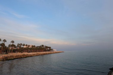 Palmiye ağaçları ve sakin Akdeniz ile huzurlu sahil günbatımı